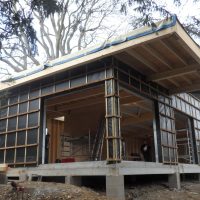 Maison bois dans les arbres à Blagnac