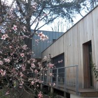Maison bois dans les arbres à Blagnac
